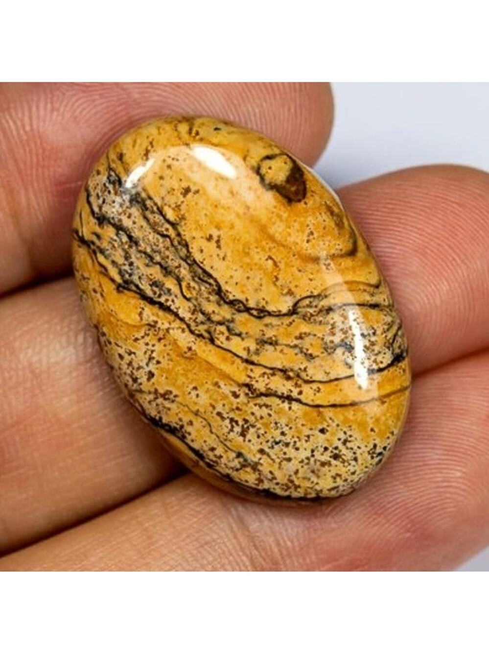 Gorgeous 33 Carat Oval Picture Jasper!